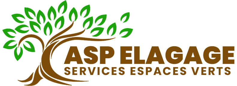 ASP%20Espaces%20Verts%20Elagage,%20votre%20élagueur%20situé%20à%20Arles