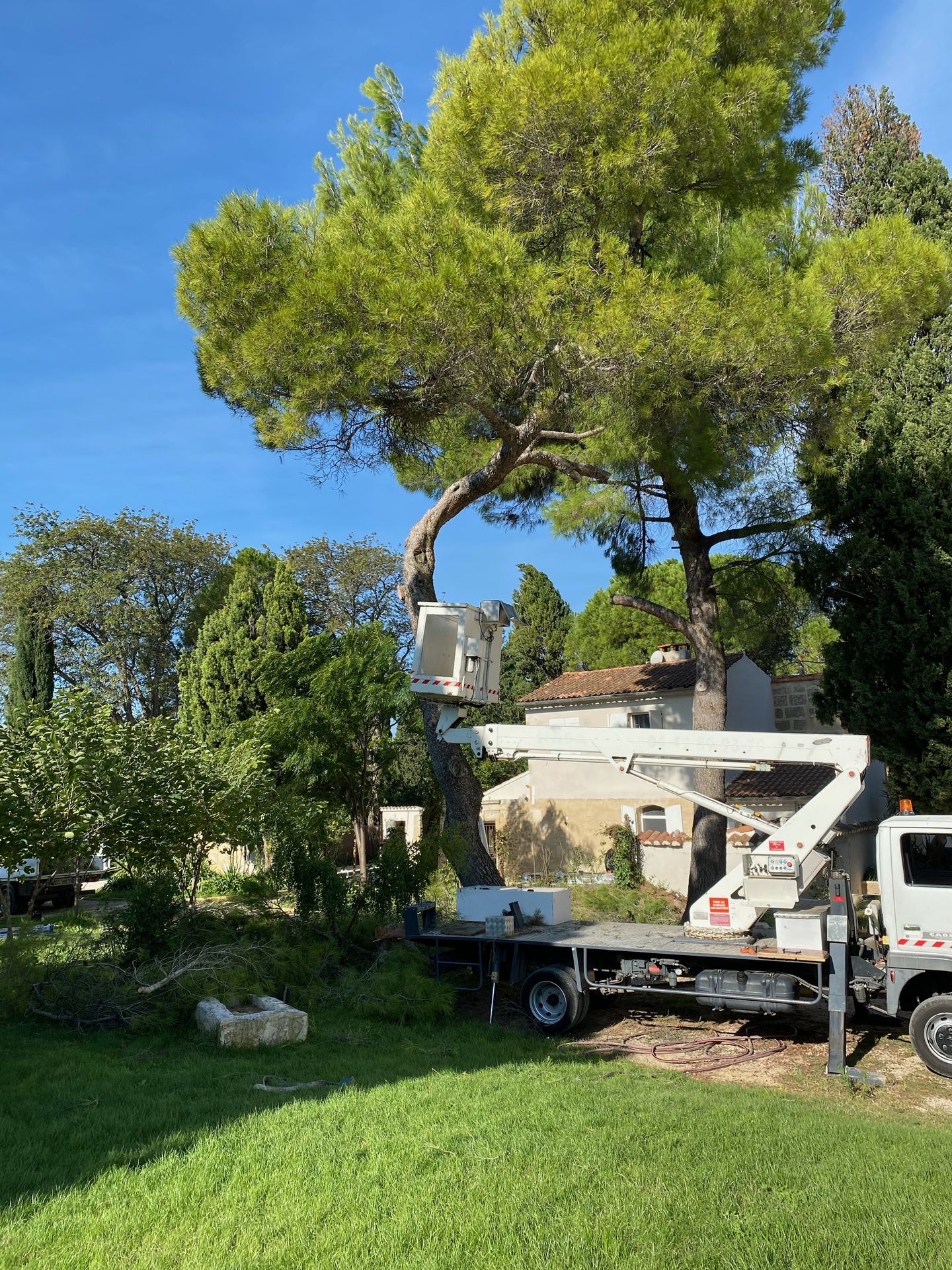ASP%20Espaces%20Verts%20Elagage,%20votre%20élagueur%20situé%20à%20Arles