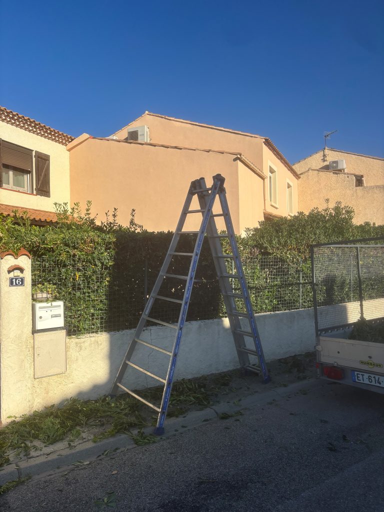 Travaux d’entretien paysager réussis chez un particulier à Saint-Martin-de-Crau
